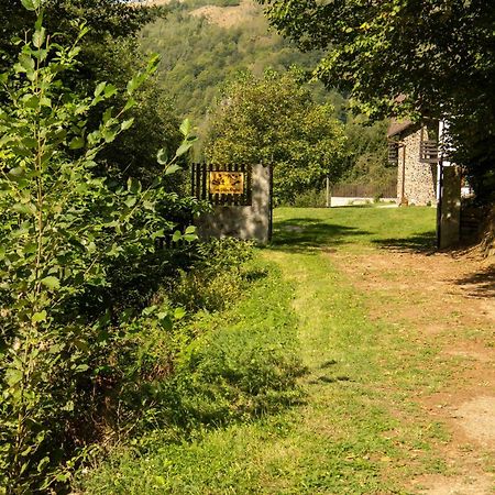 Casa Valea Prejbei Villa Rau Sadului Luaran gambar