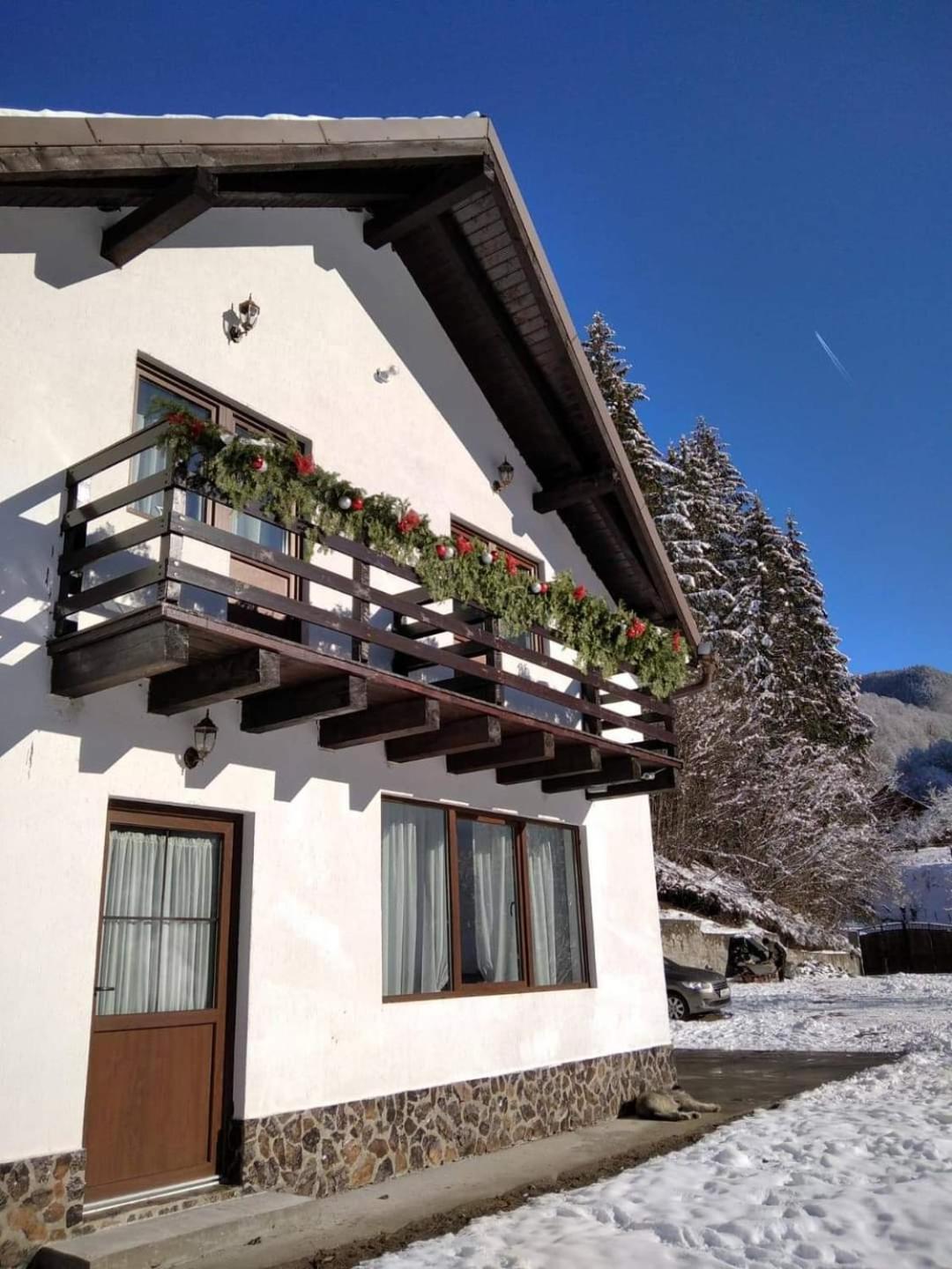 Casa Valea Prejbei Villa Rau Sadului Luaran gambar