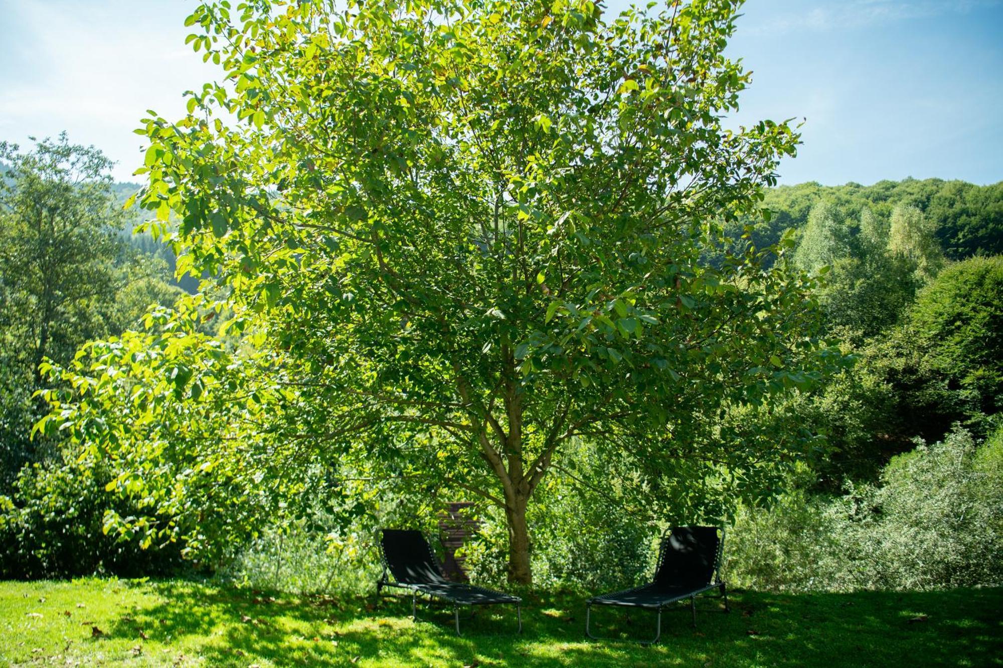 Casa Valea Prejbei Villa Rau Sadului Luaran gambar