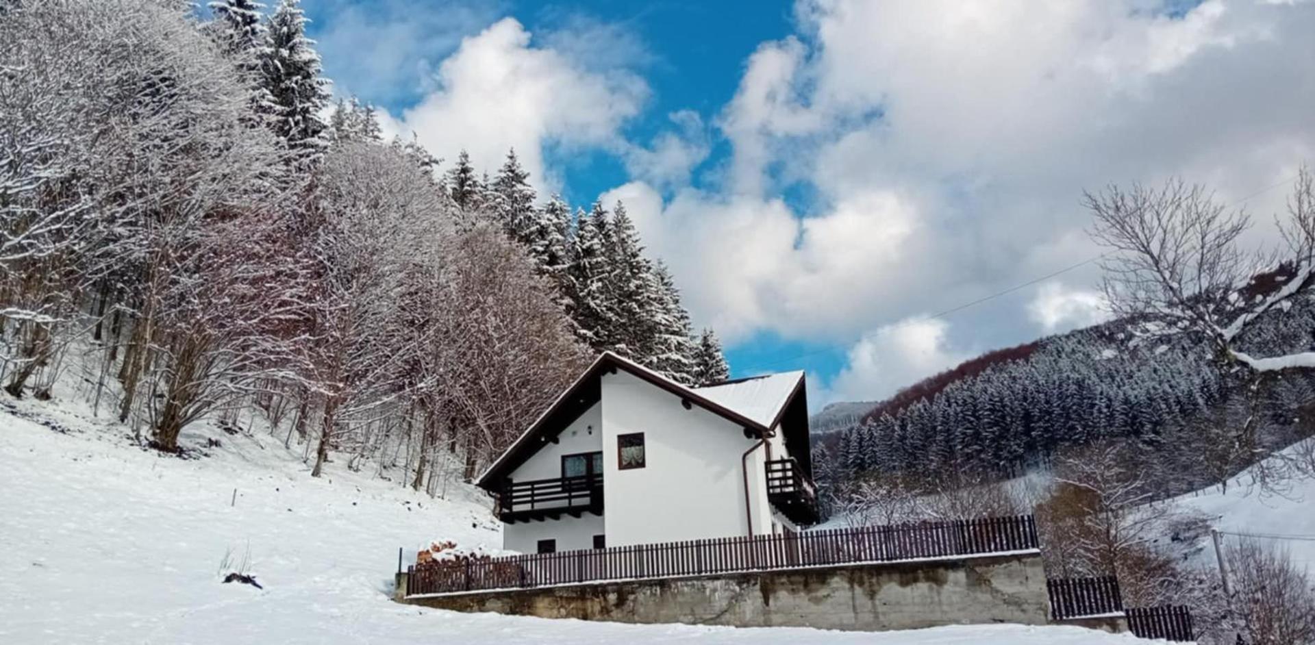 Casa Valea Prejbei Villa Rau Sadului Luaran gambar