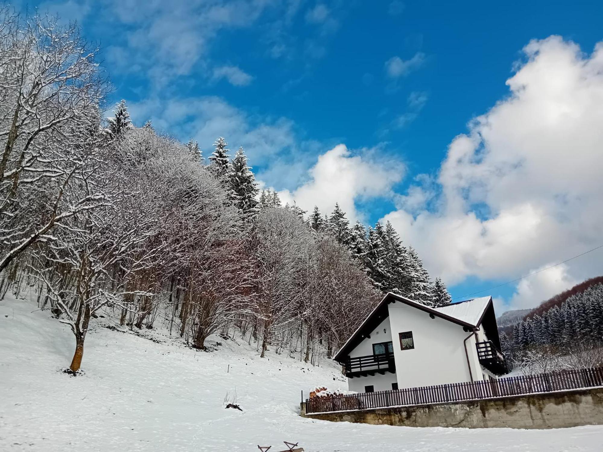 Casa Valea Prejbei Villa Rau Sadului Luaran gambar